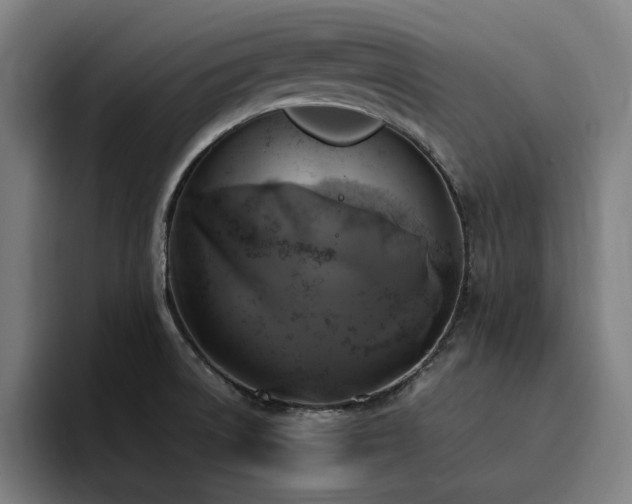 X0000094781522200711161405