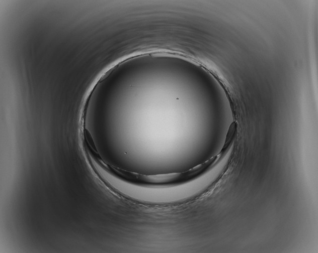 X0000094781524200711161406