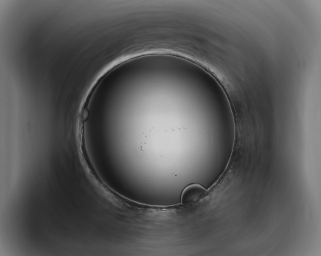 X0000094781526200711161406
