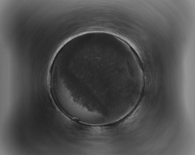 X0000094781527200711161406