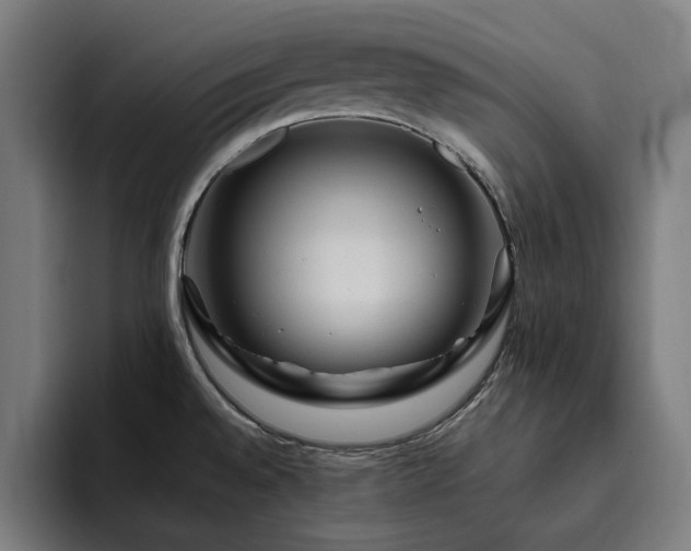 X0000094781528200711161406