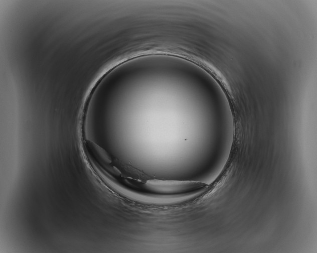 X0000094781530200711161406