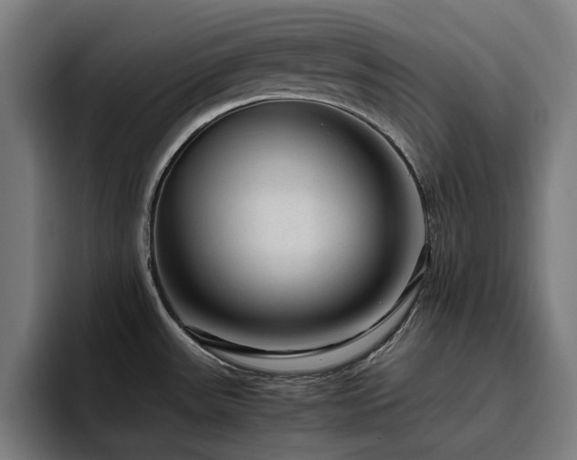 X0000094781531200711161406