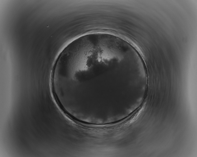 X0000094781533200711161406