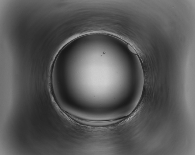 X0000094781534200711161406