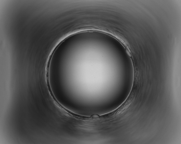 X0000094781535200711161406