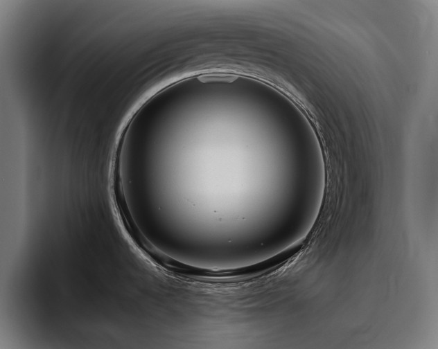 X0000094781536200711161406