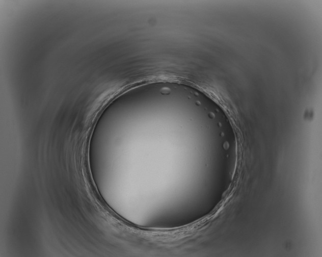 X0000094780001200711241349