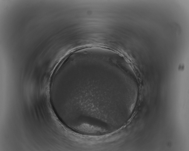 X0000094780002200711241349