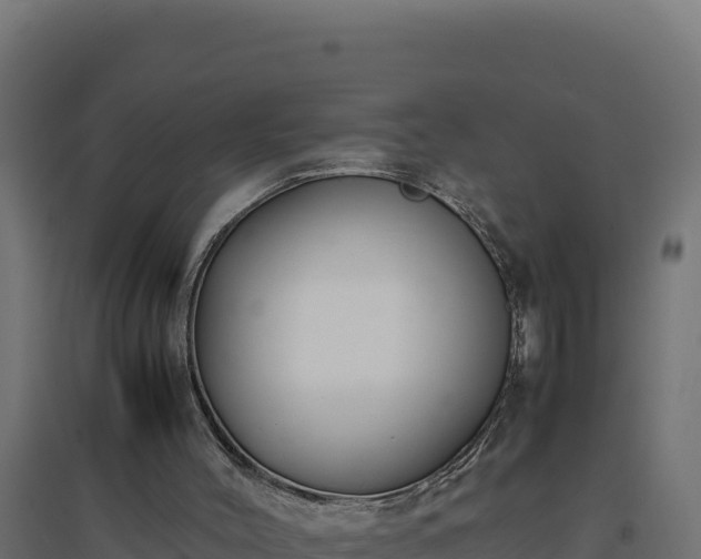 X0000094780004200711241349