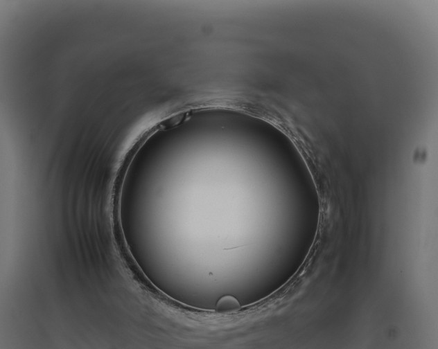X0000094780006200711241349