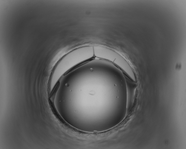 X0000094780007200711241349