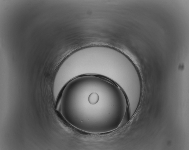 X0000094780009200711241349