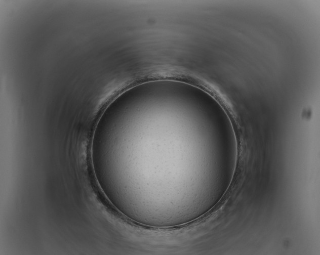X0000094780010200711241349