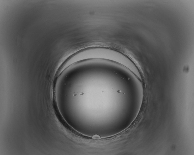 X0000094780011200711241349