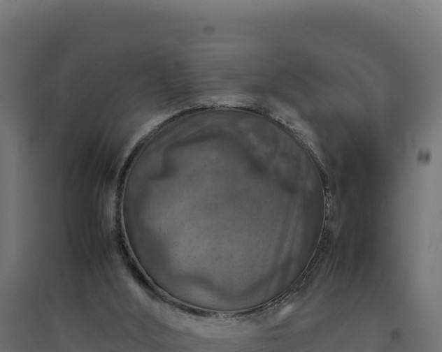 X0000094780012200711241349