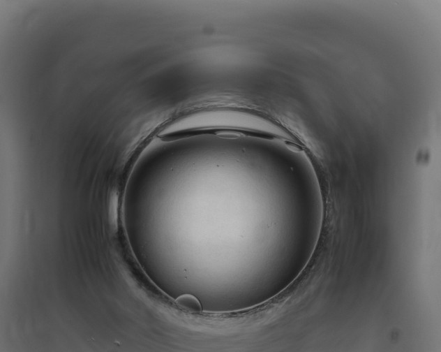 X0000094780014200711241349