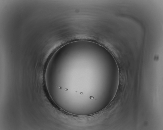 X0000094780015200711241349