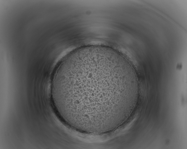 X0000094780016200711241349