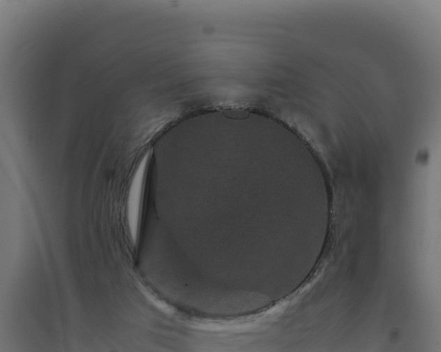 X0000094780017200711241349