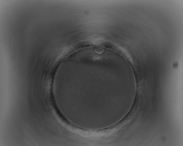 X0000094780018200711241349