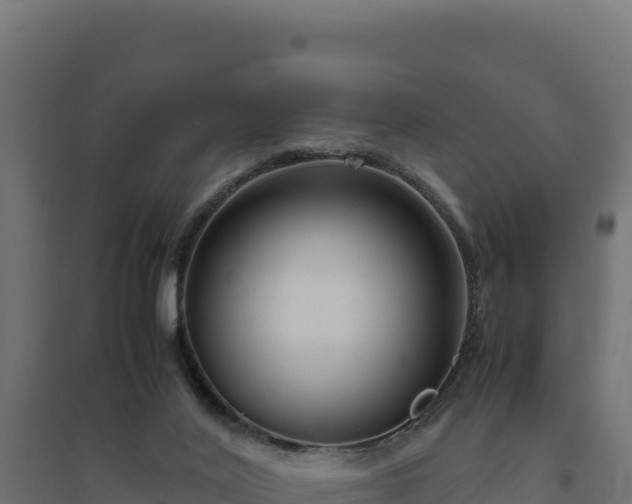 X0000094780020200711241349