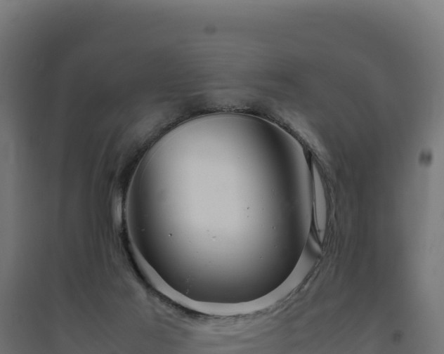 X0000094780021200711241349