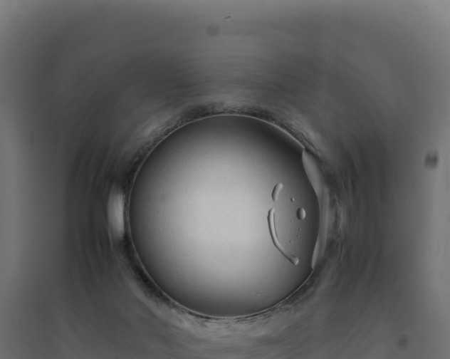 X0000094780022200711241349