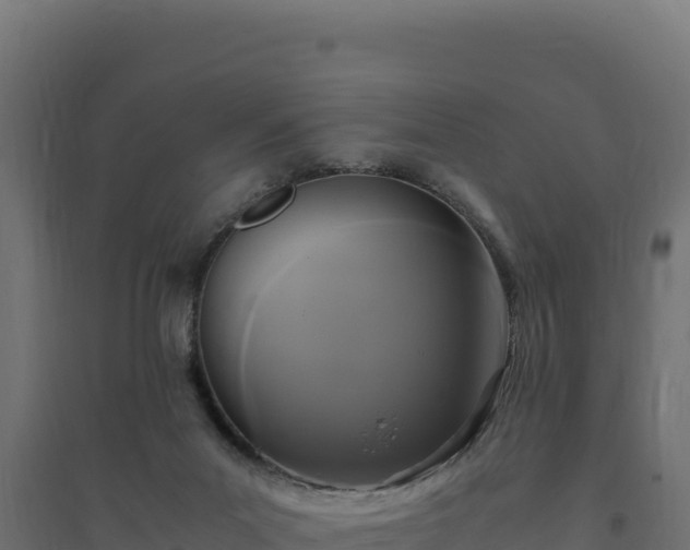 X0000094780023200711241349