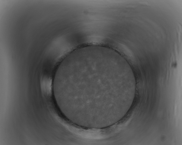 X0000094780024200711241349