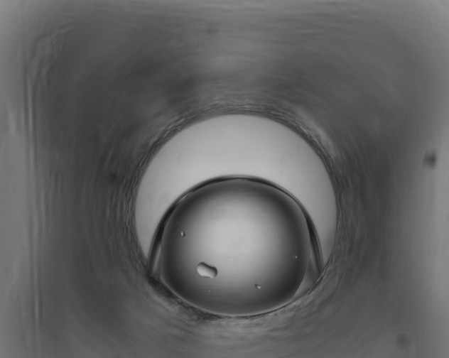 X0000094780025200711241349