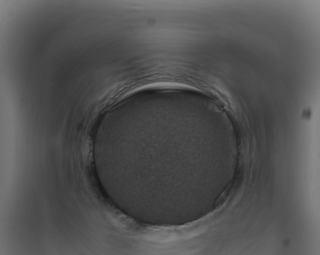 X0000094780029200711241349