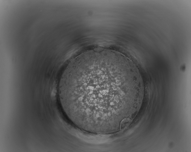 X0000094780032200711241349