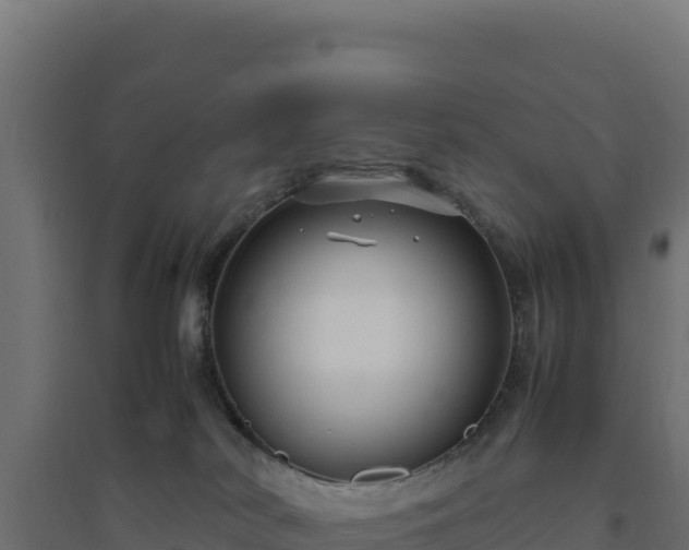 X0000094780038200711241349