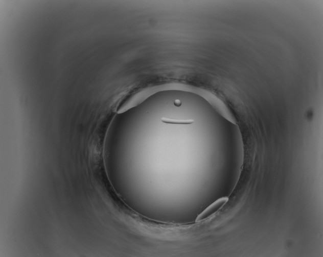 X0000094780040200711241349