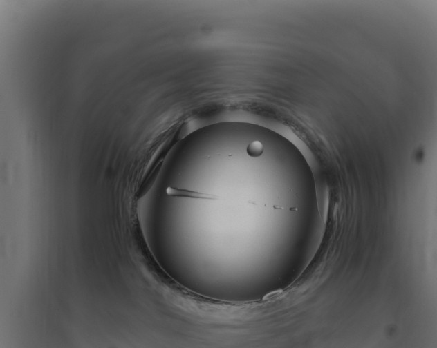 X0000094780044200711241349