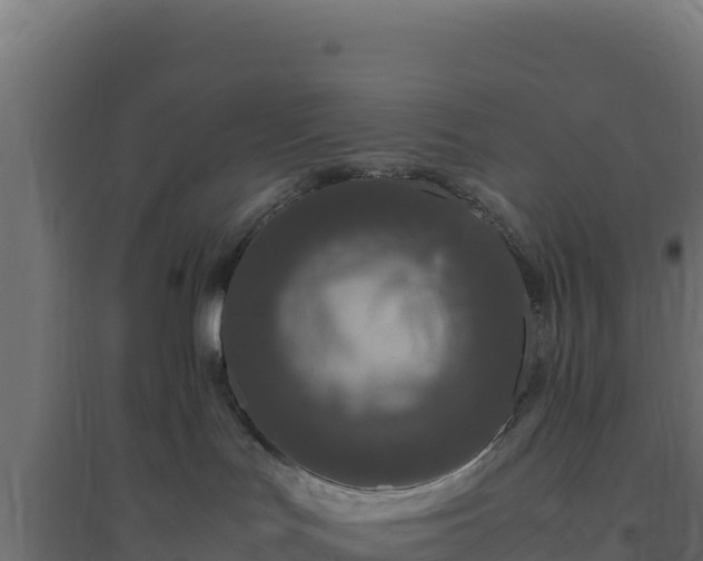 X0000094780047200711241349