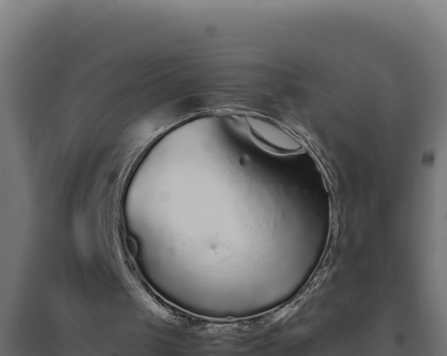 X0000094780049200711241348
