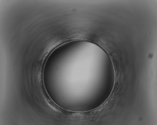 X0000094780050200711241348