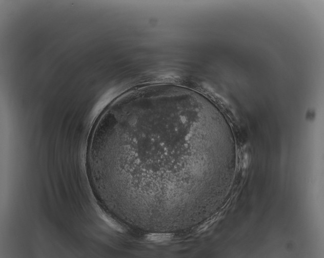 X0000094780051200711241348