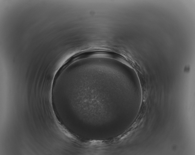 X0000094780052200711241348