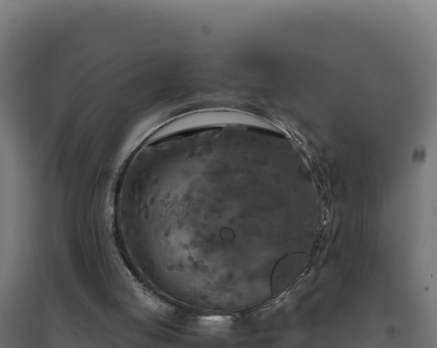 X0000094780053200711241348