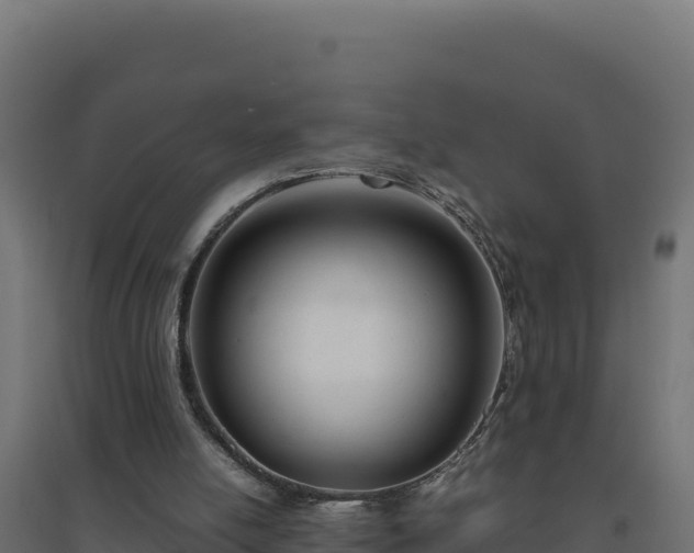 X0000094780054200711241348