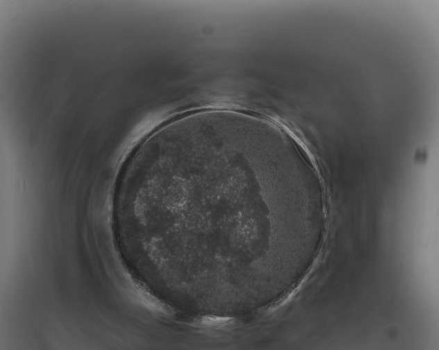 X0000094780055200711241348