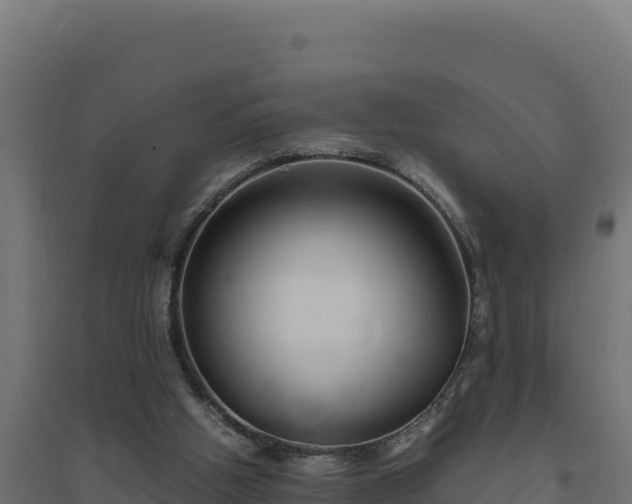 X0000094780058200711241348