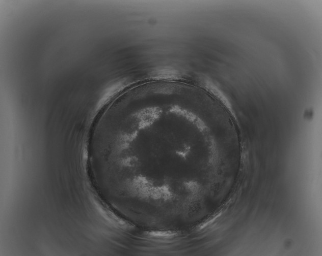 X0000094780059200711241348