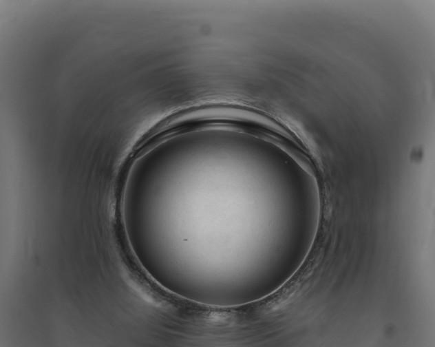X0000094780060200711241348