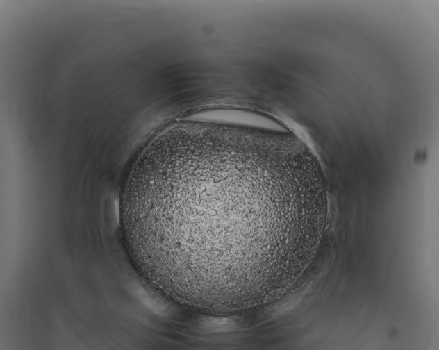 X0000094780061200711241348