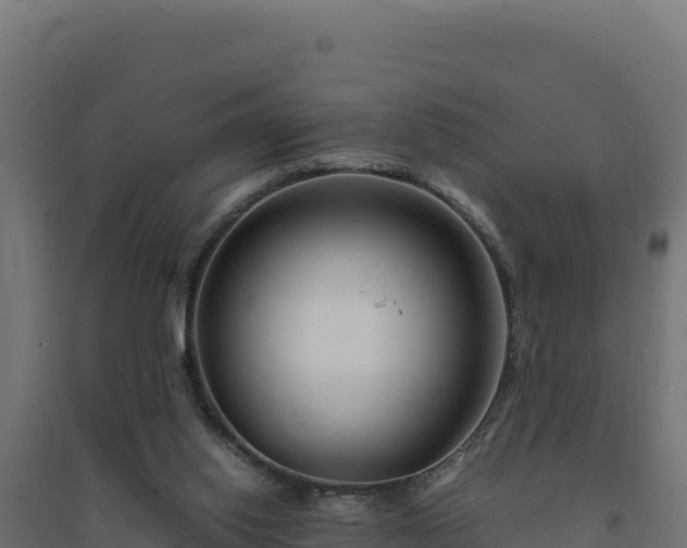 X0000094780062200711241348