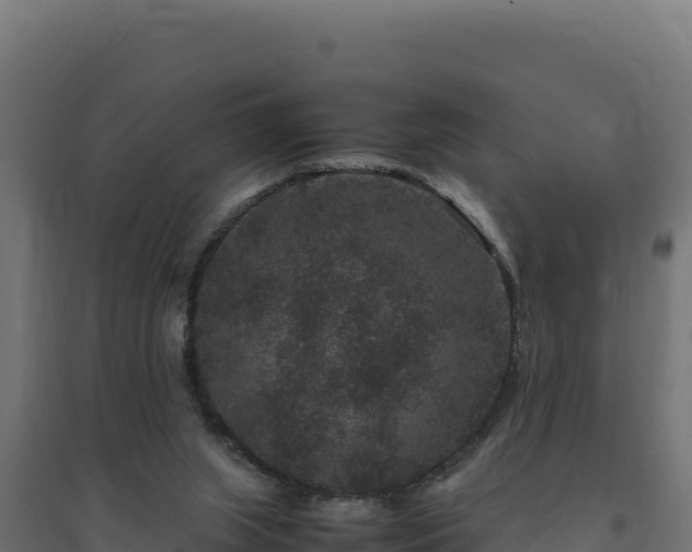 X0000094780063200711241348